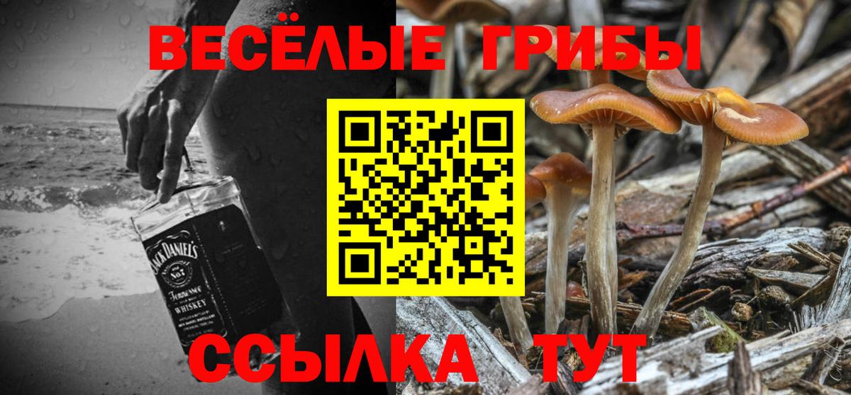 Псилоцибиновые грибы мухоморы Новоалтайск