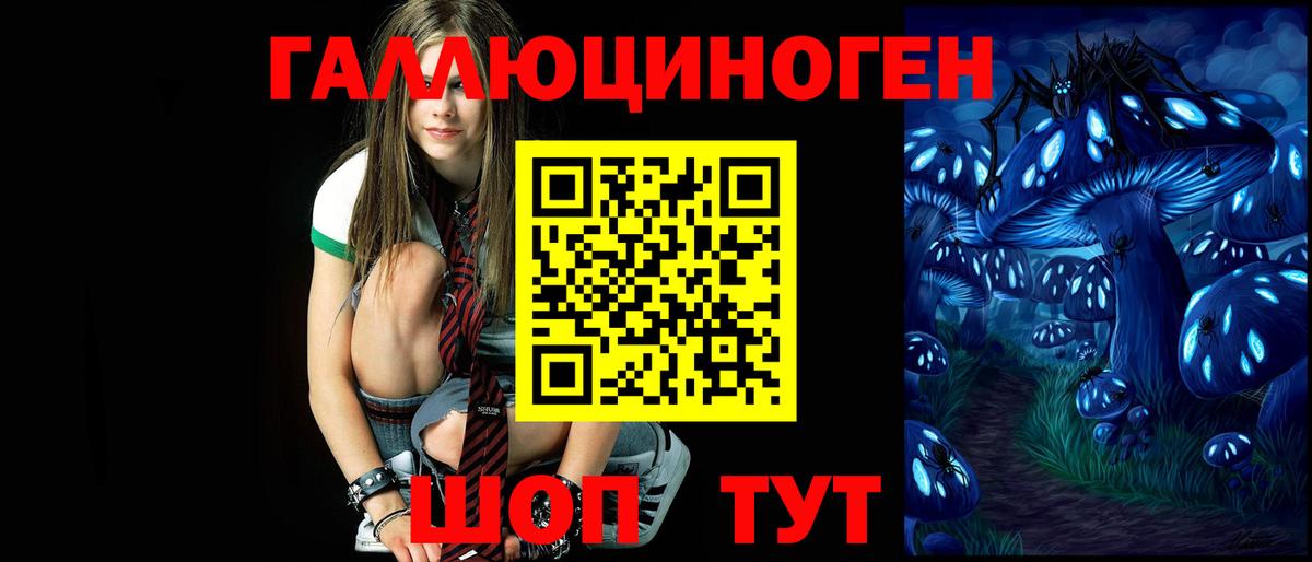 Новоалтайск  Галлюциногенные грибы мухоморы  Вход с VPN 